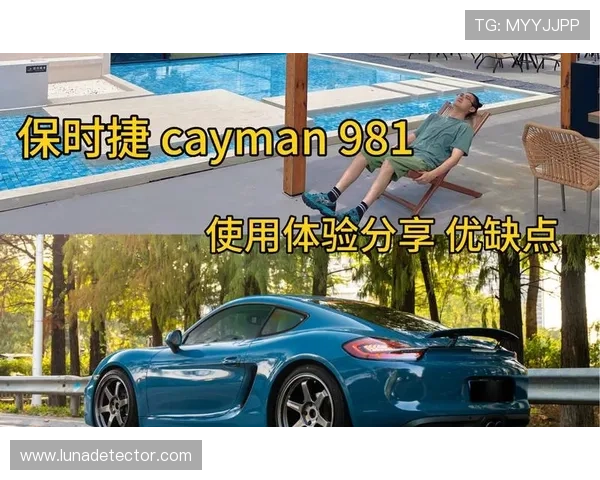 尊龙足球官网用户评价,真实反馈揭示平台的优缺点与使用体验