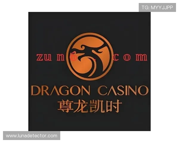 尊龙官网登录入口官方平台,确保账号安全与游戏公平,尽享精彩赛事